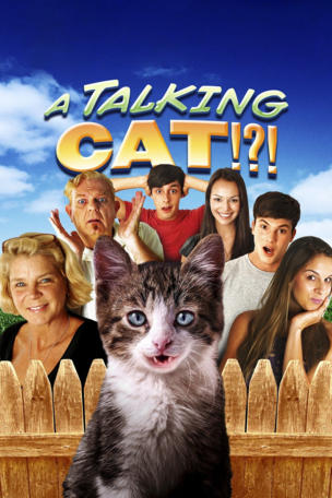 Talking Cat!?!