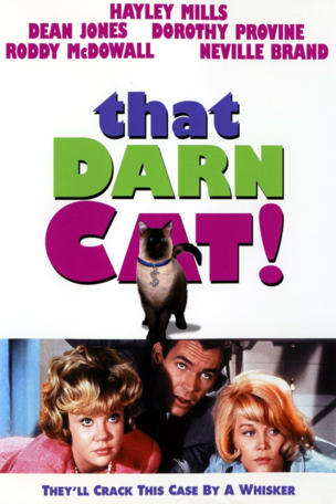 That Darn Cat!