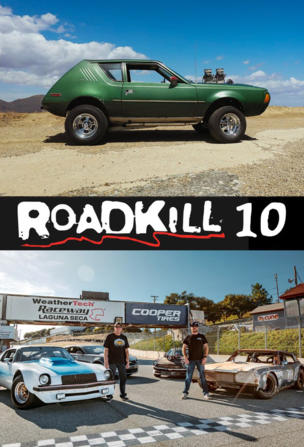 Roadkill_0010